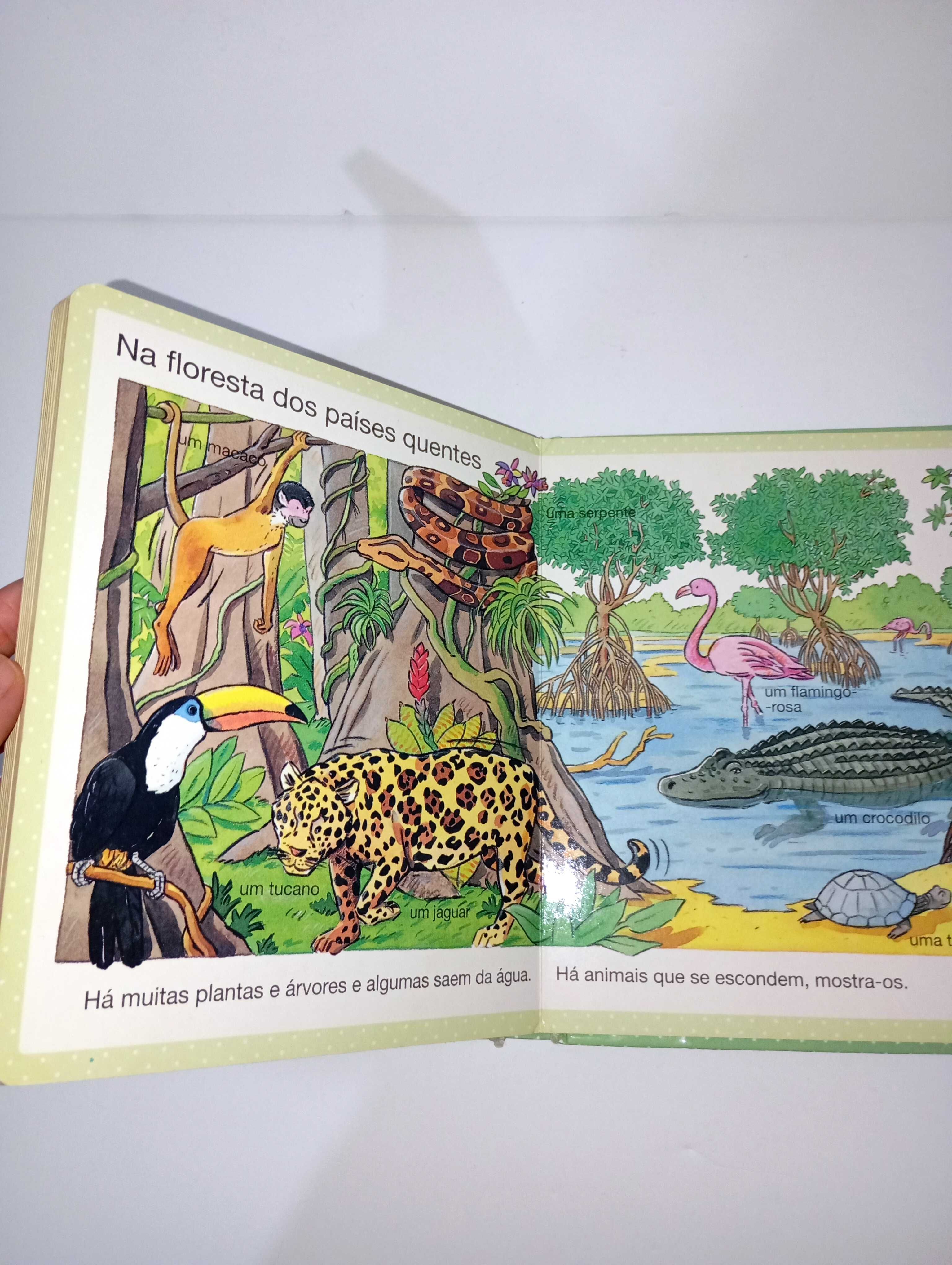 A Natureza - Dicionário por imagens dos pequeninos