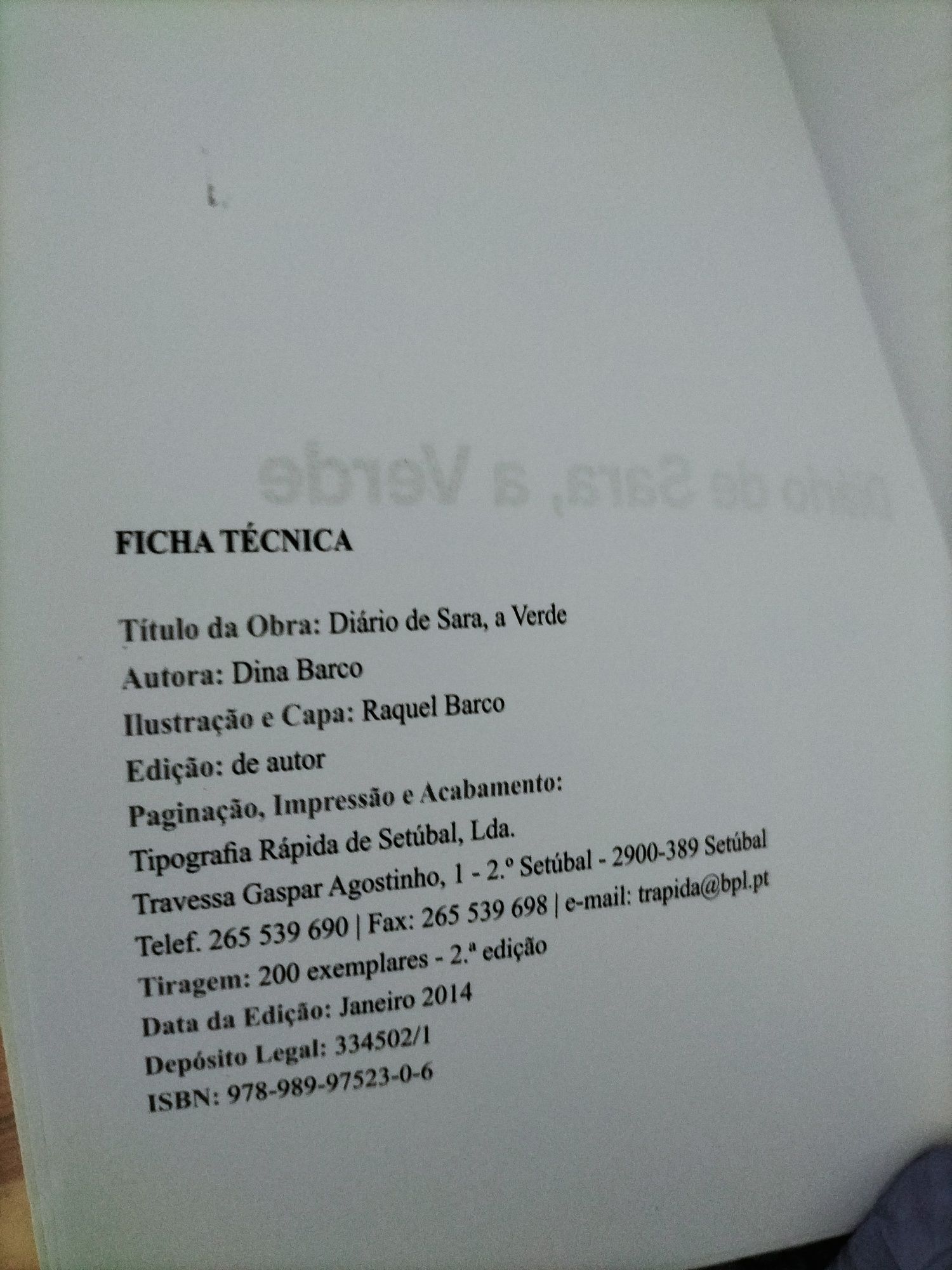 Livro - Diário de Sara, a verde