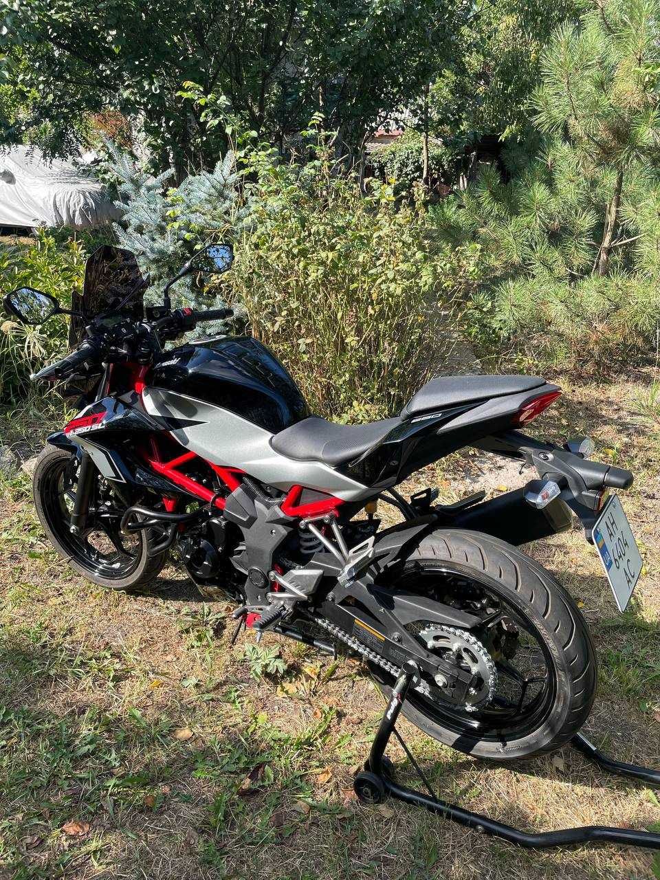 Kawasaki Z 250SL 2018