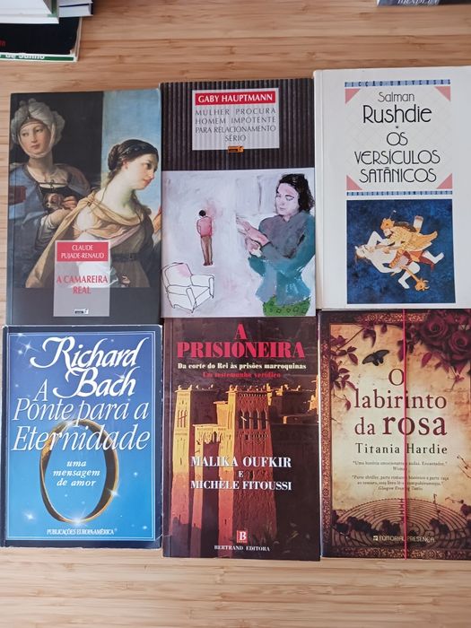 Lote de 24 livros temas e escritores diversos