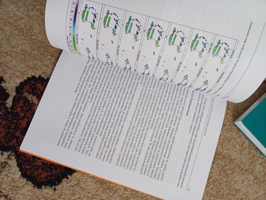 Analiza krajobrazu przy użyciu narzędzi cyfrowych Ozimek