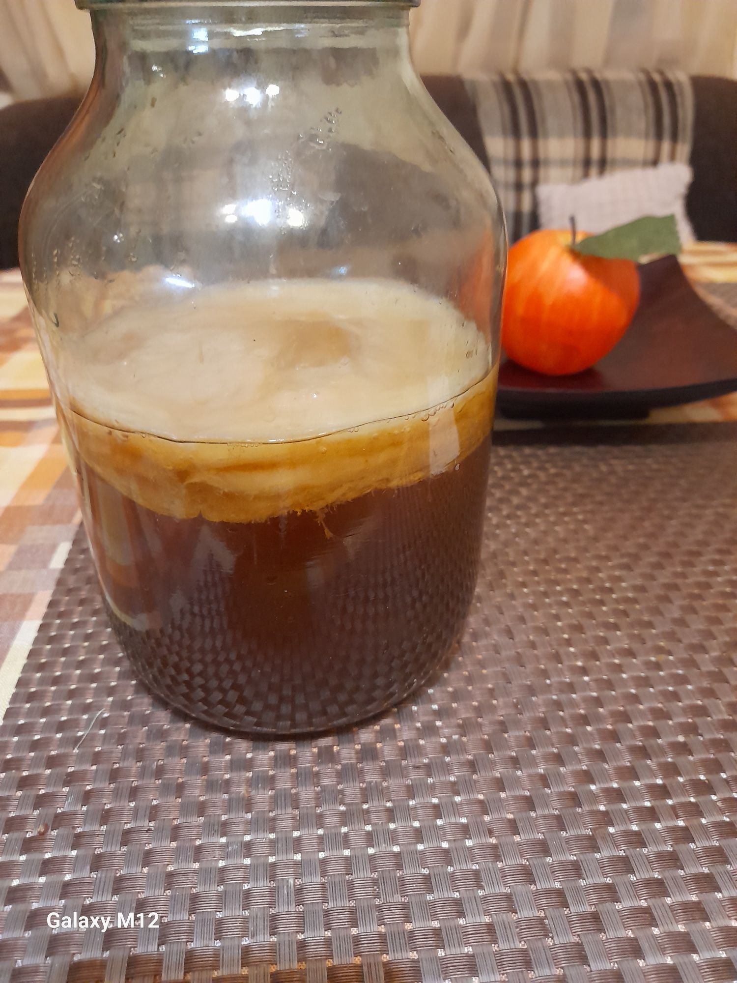 Чайний  гриб   Камбуча