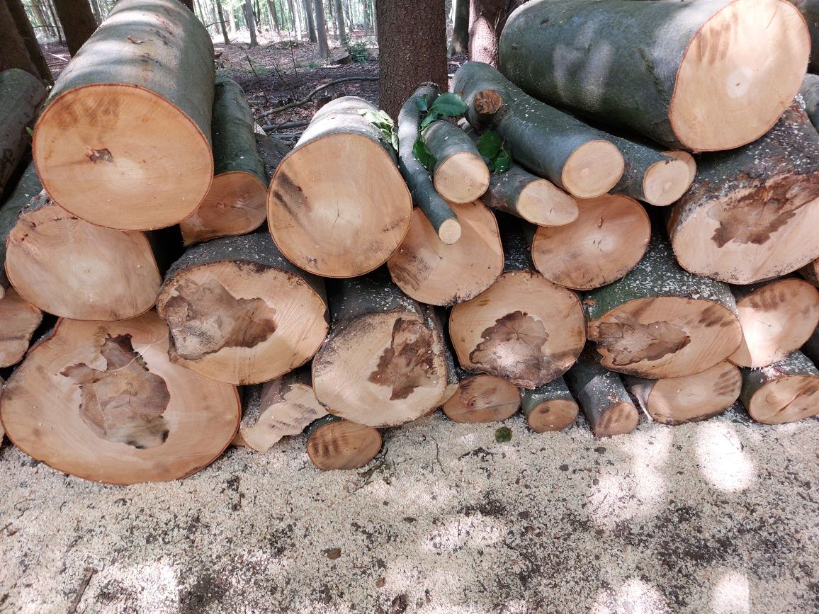 Drewno kominkowe opalowe buk
