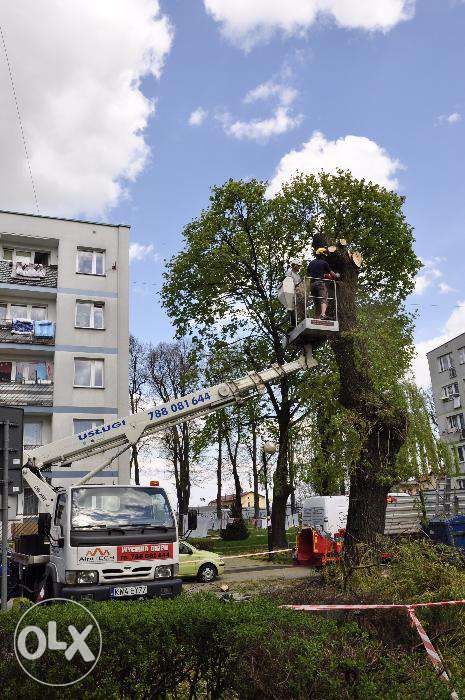 Wycinka drzew/rębak/frezowanie pni/podnośniki koszowe