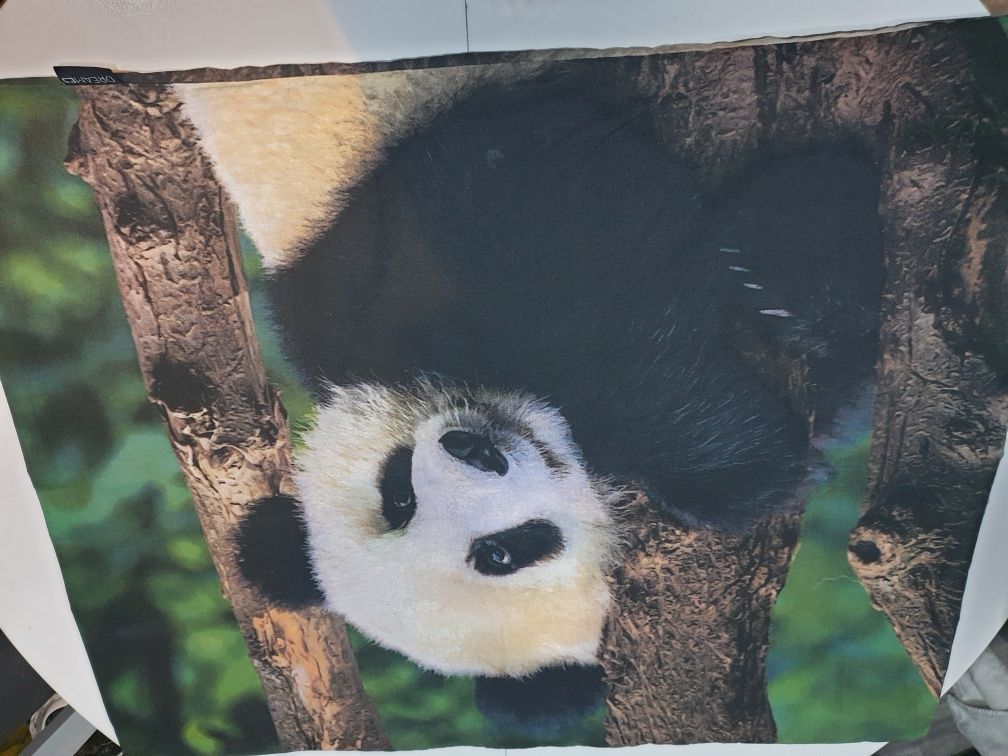 Pościel Panda młodzieżowe