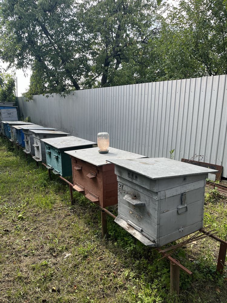 Вулики пасіка одноярусні та двухярусні