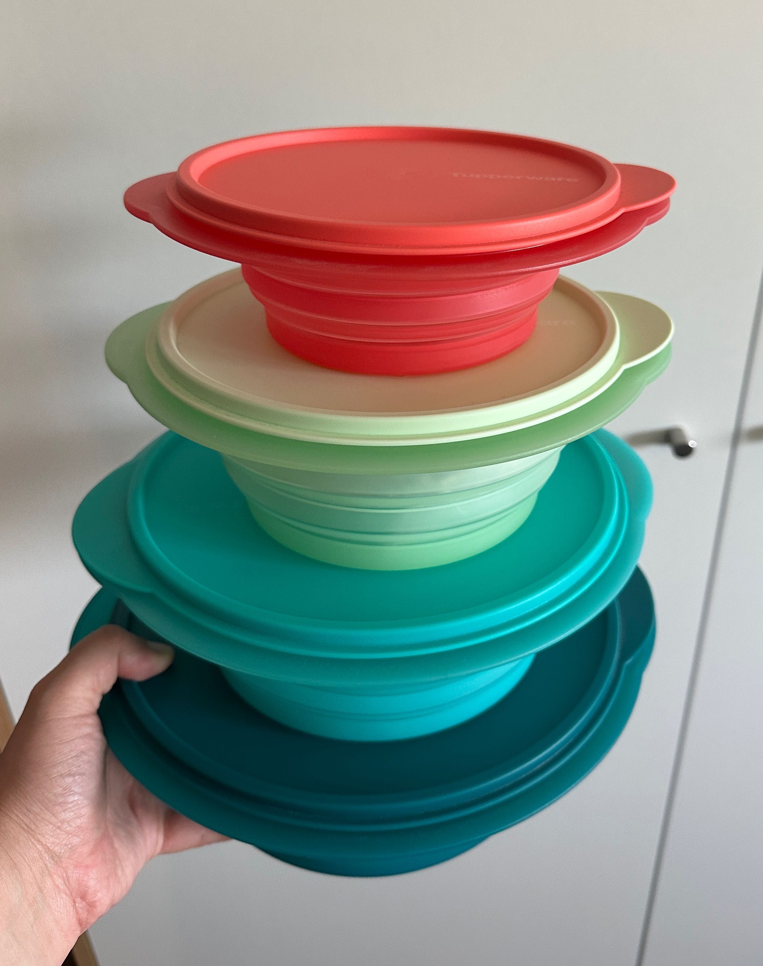 Conjunto 4 Caixas Mini Max (700ml + 950ml + 1L + 2L) Tupperware