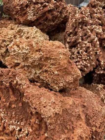 Koralowiec Red Spaghetti Kamień Naturalny do Akwarium Terrarium Skała
