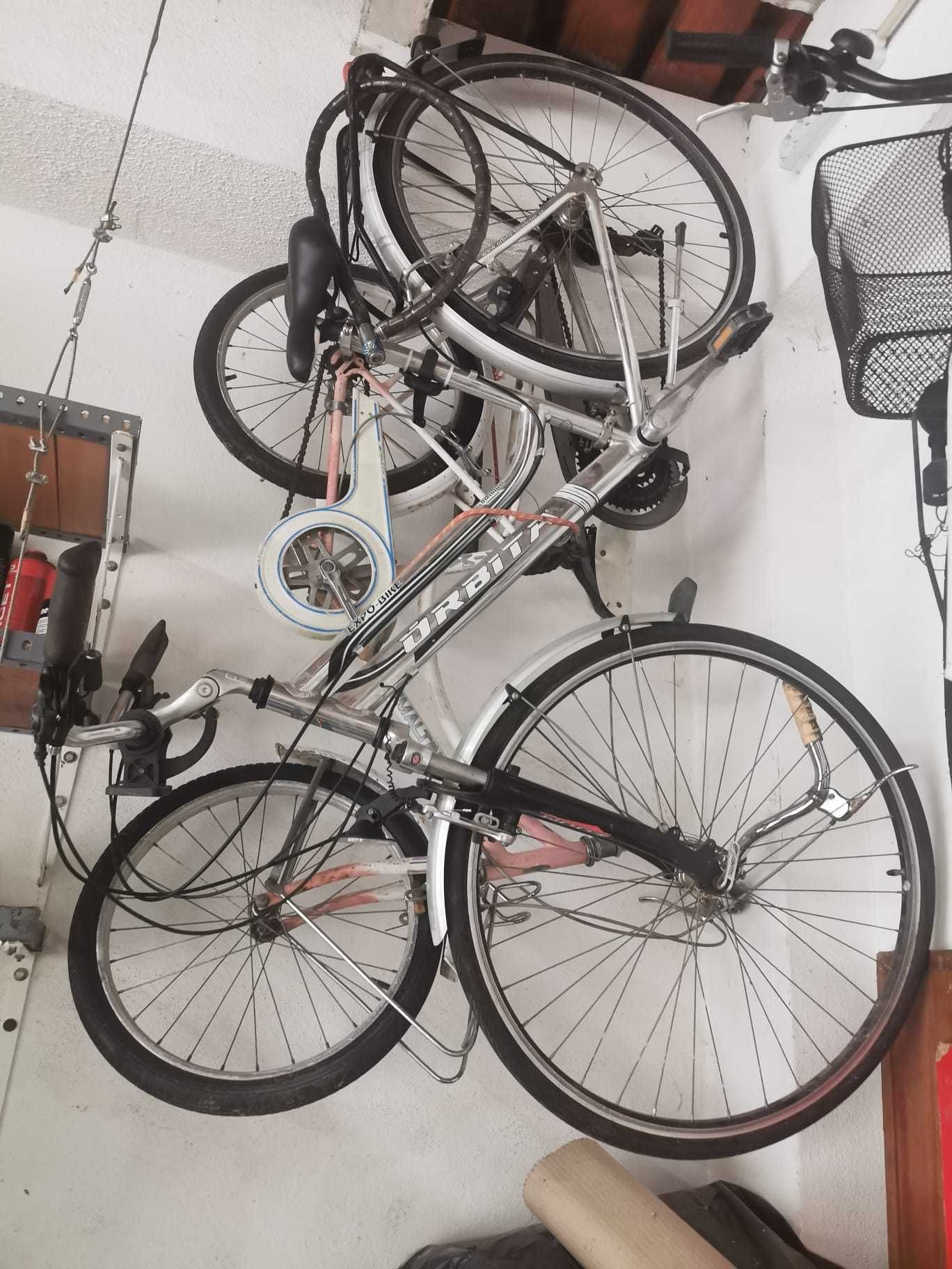 Bicicleta Pasteleira Orbita