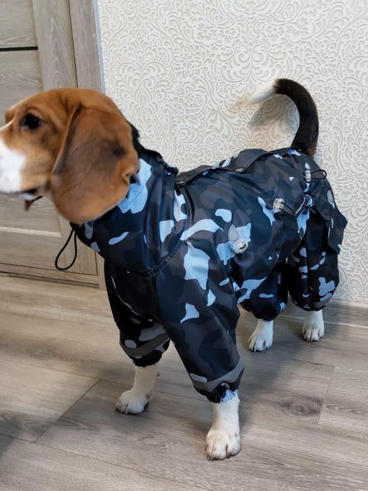 Продам дождевик на бигля