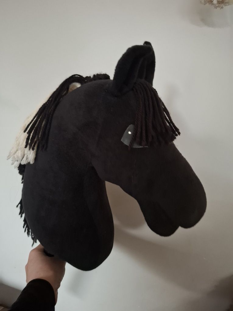Hobby horse kary