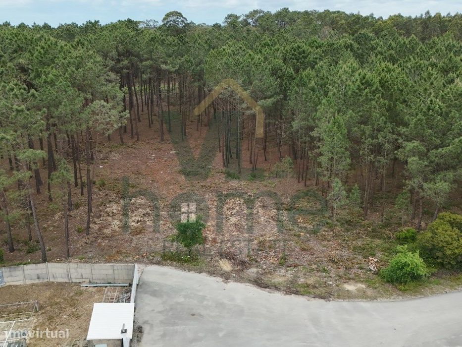 Terreno com Potencial para Moradias - Natureza e Conveniência de Mã...