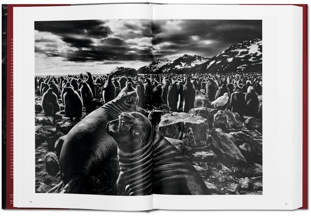 Книга - фотоальбом "Genesis" Sebastiao Salgado.