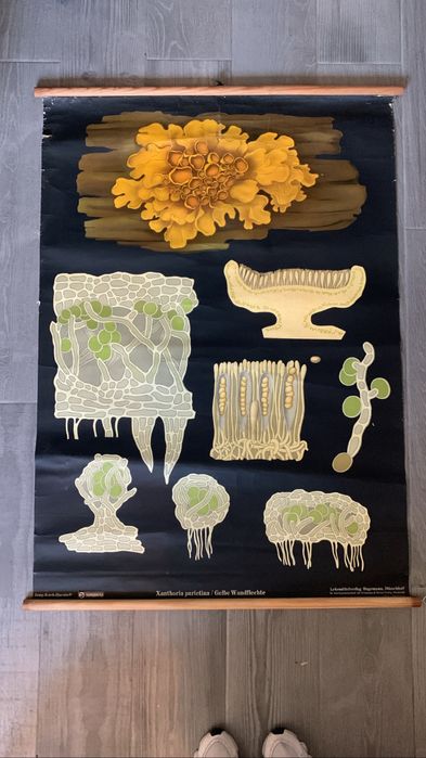 Poster escolar vintage feito a mão