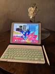 iPad 6 gen A1893