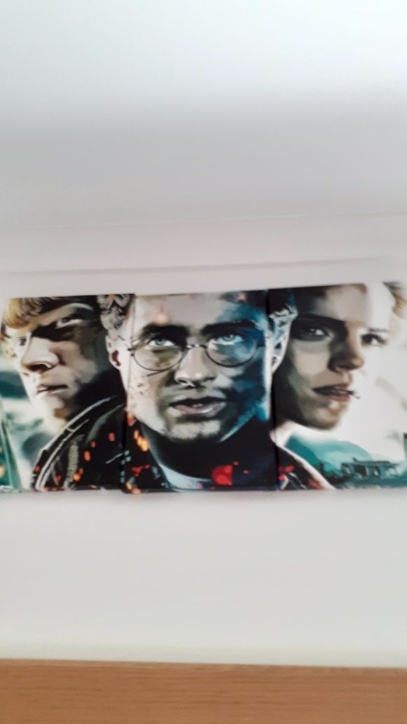 Quadros Harry Potter