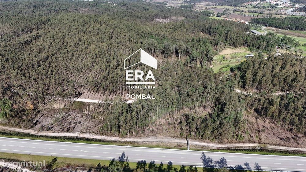 Eucaliptal com 9780m2