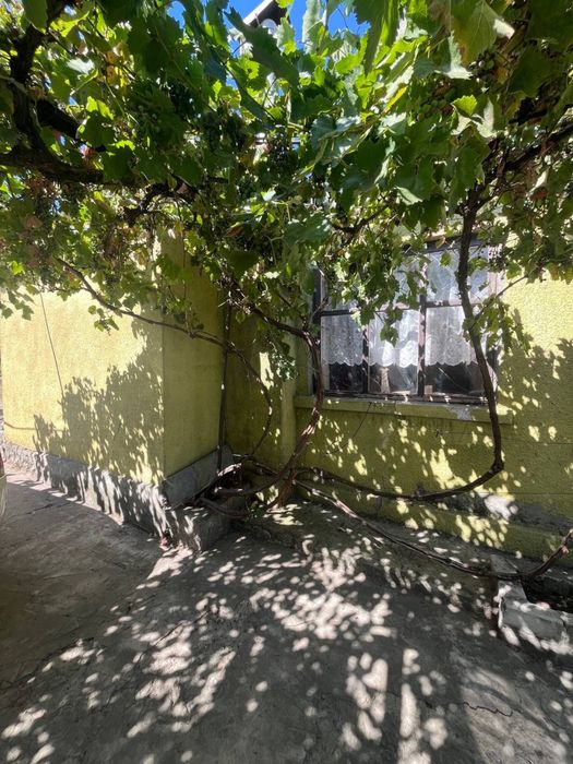 Продаю 3 комнатний дом ( Центр ) Терновка ( Топ место) ID-145745