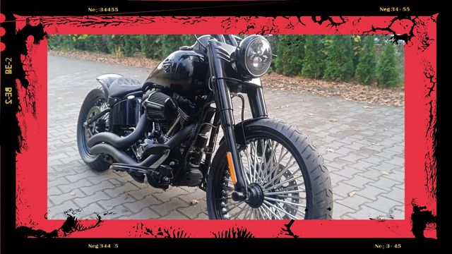 Harley-Davidson Softail Slim 2017r 110ca Custom Harley Garage