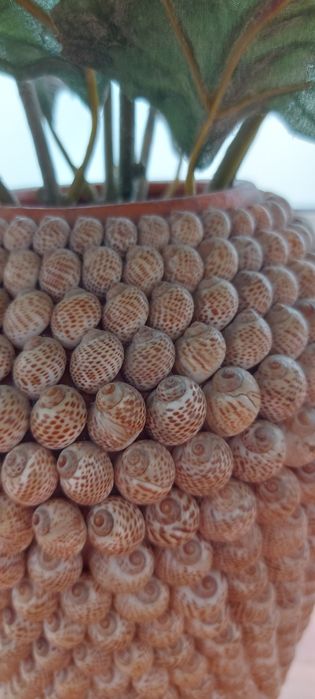 Jarra ceramica com caracois