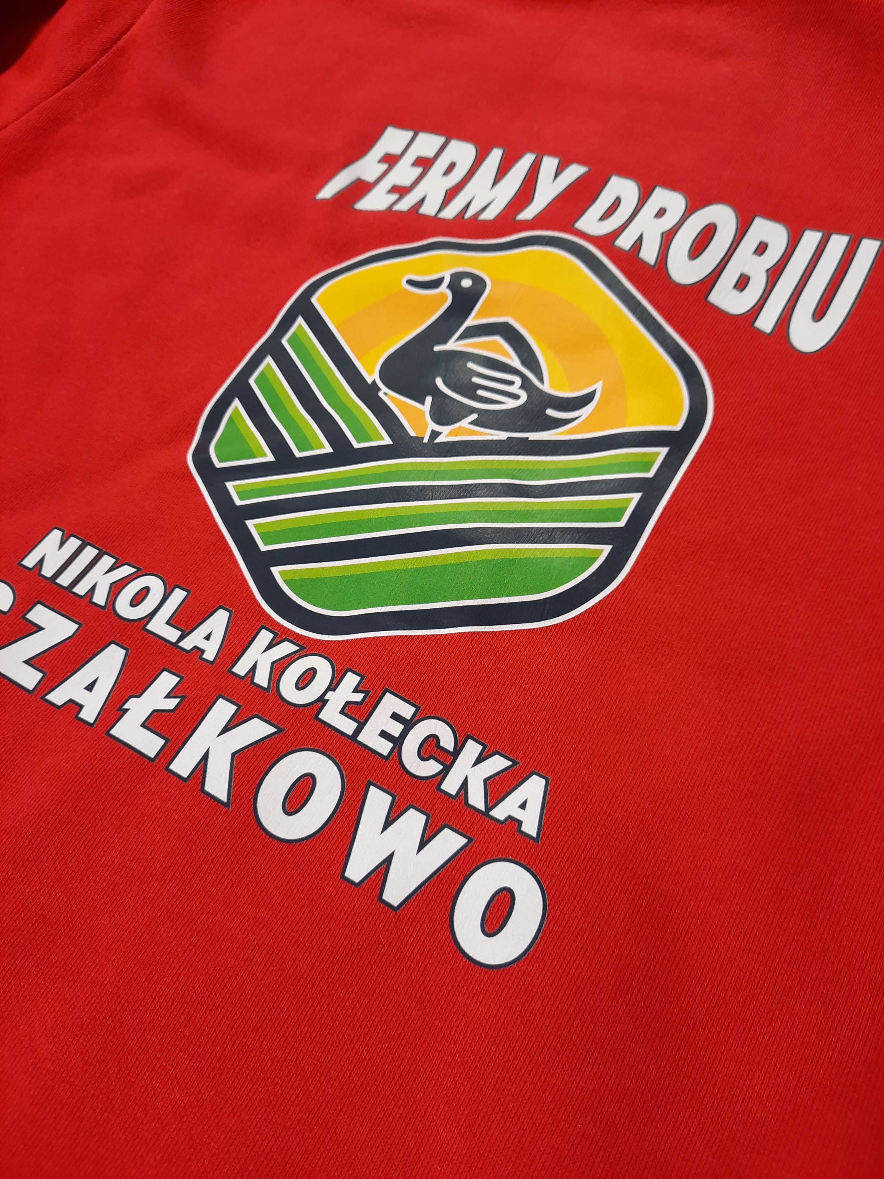 koszulka robocza z nadrukiem firmowym