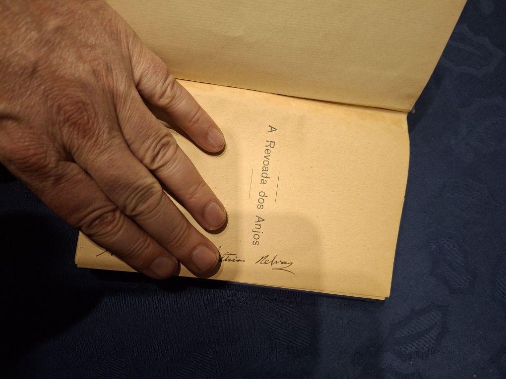 Manuel Ribeiro livro a revoada dos anjos