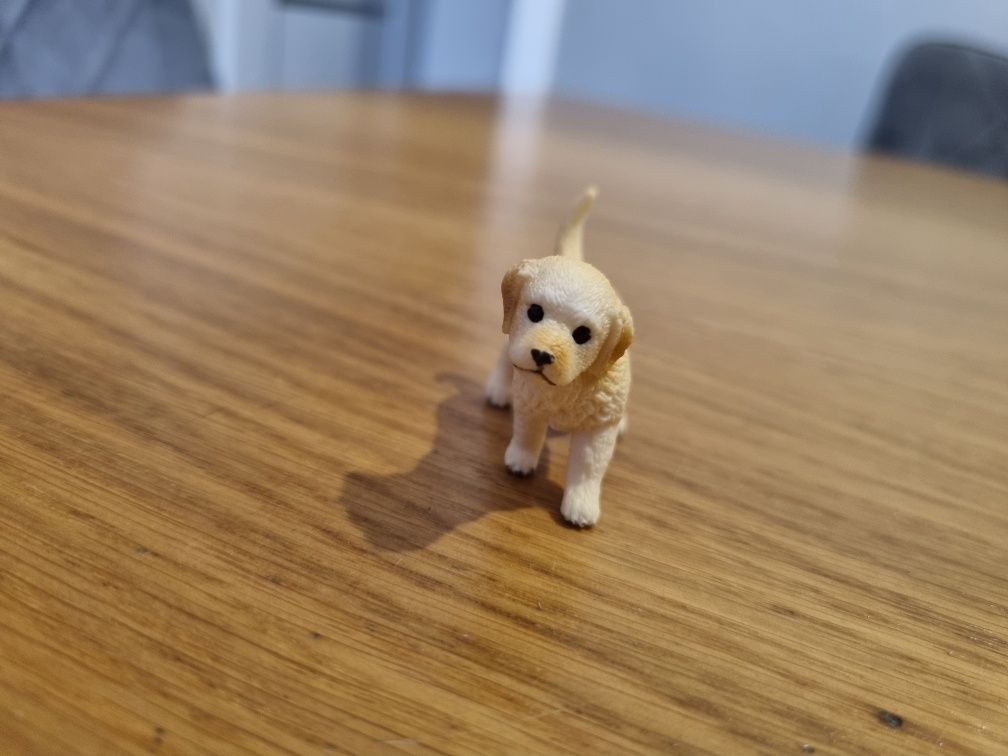 Szczeniak schleich pies