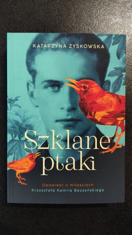 Książka Szklane ptaki, Katarzyna Zyskowska, nowa