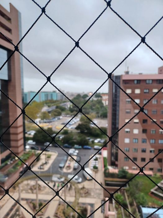 Rede de protecao  de crianças