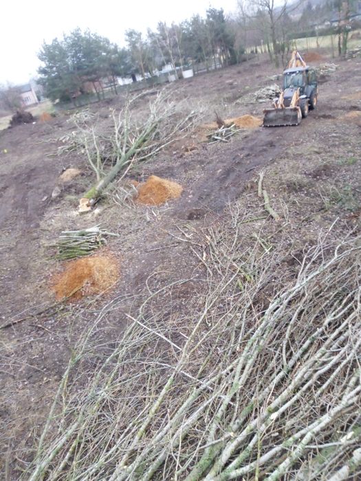 Karczowanie, wycinka  drzew , czyszczenie działek pielęgnacja zieleni