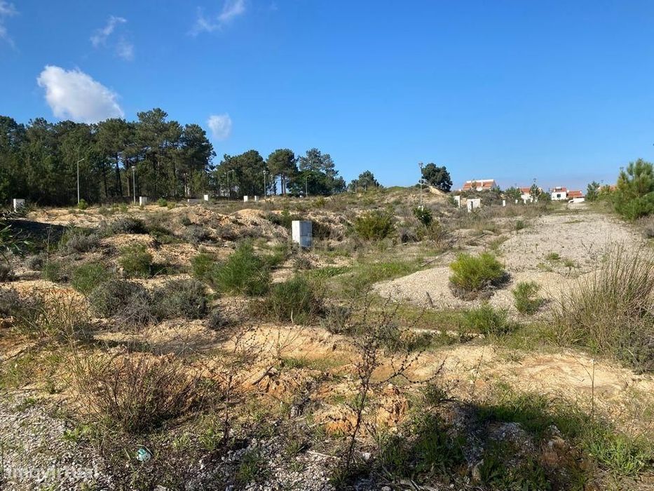 Últimos lotes na primeira rua da Ribeira do Marchante