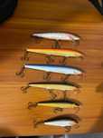 Amostras de pesca