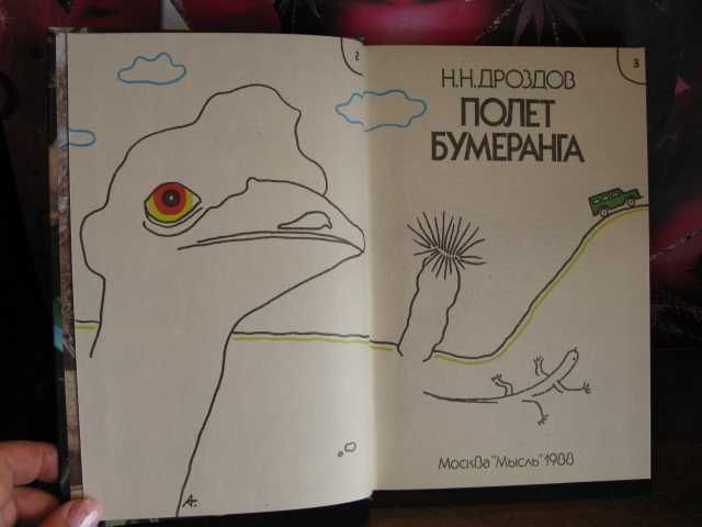 Н.Н. Дроздов, Полет бумеранга, 1988г.