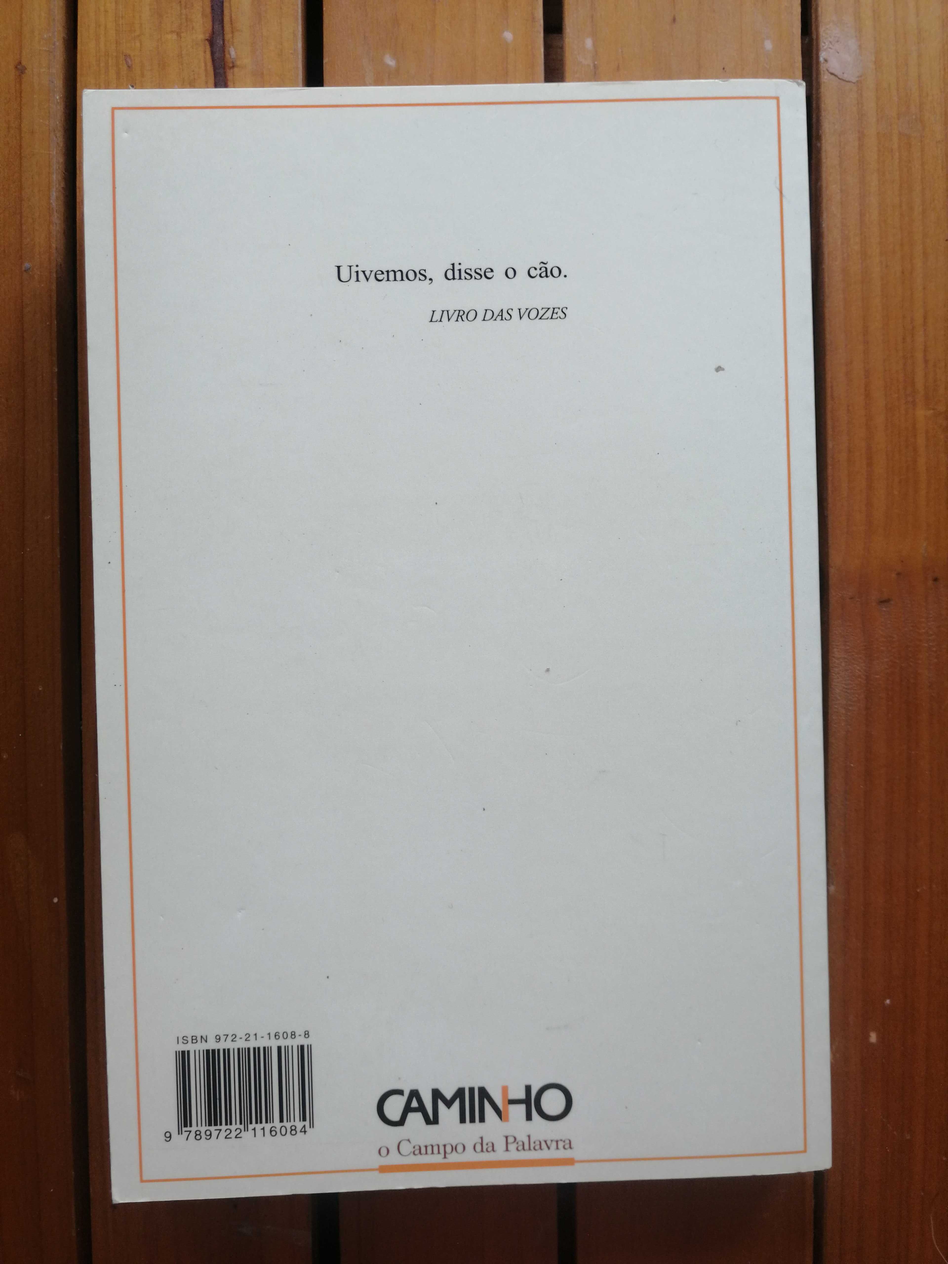 Ensaio sobre a lucidez - José Saramago