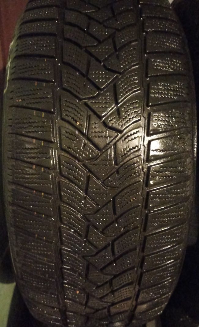 Шини, резина, покришки, зимові Dunlop Winter Sport 5 205/55/16