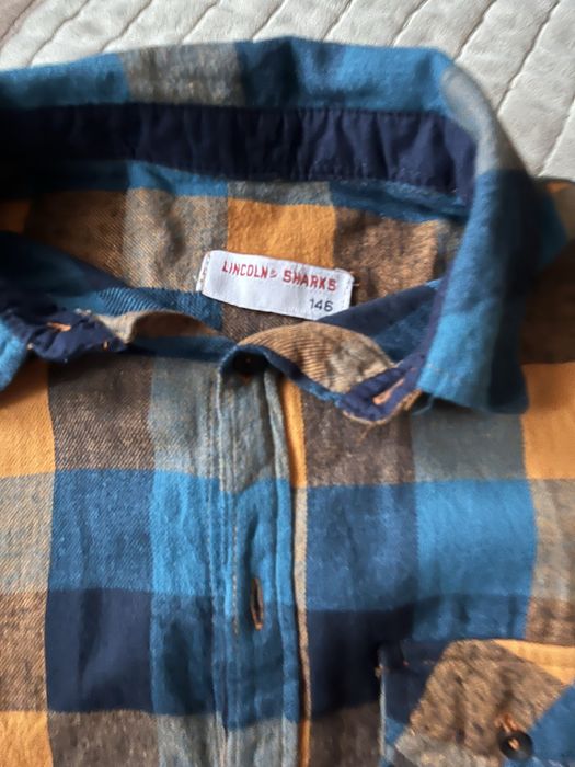 Koszula w kratkę Lincoln&Sharks 146