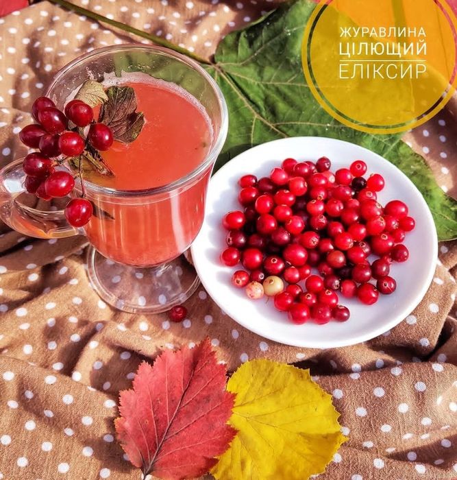 Цілющий сироп з Журавлини. Ціна без Олх %