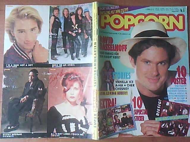 Popcorn David Hasselhoff a-ha Cher Vanilla Ice Erasure Madonna Seal