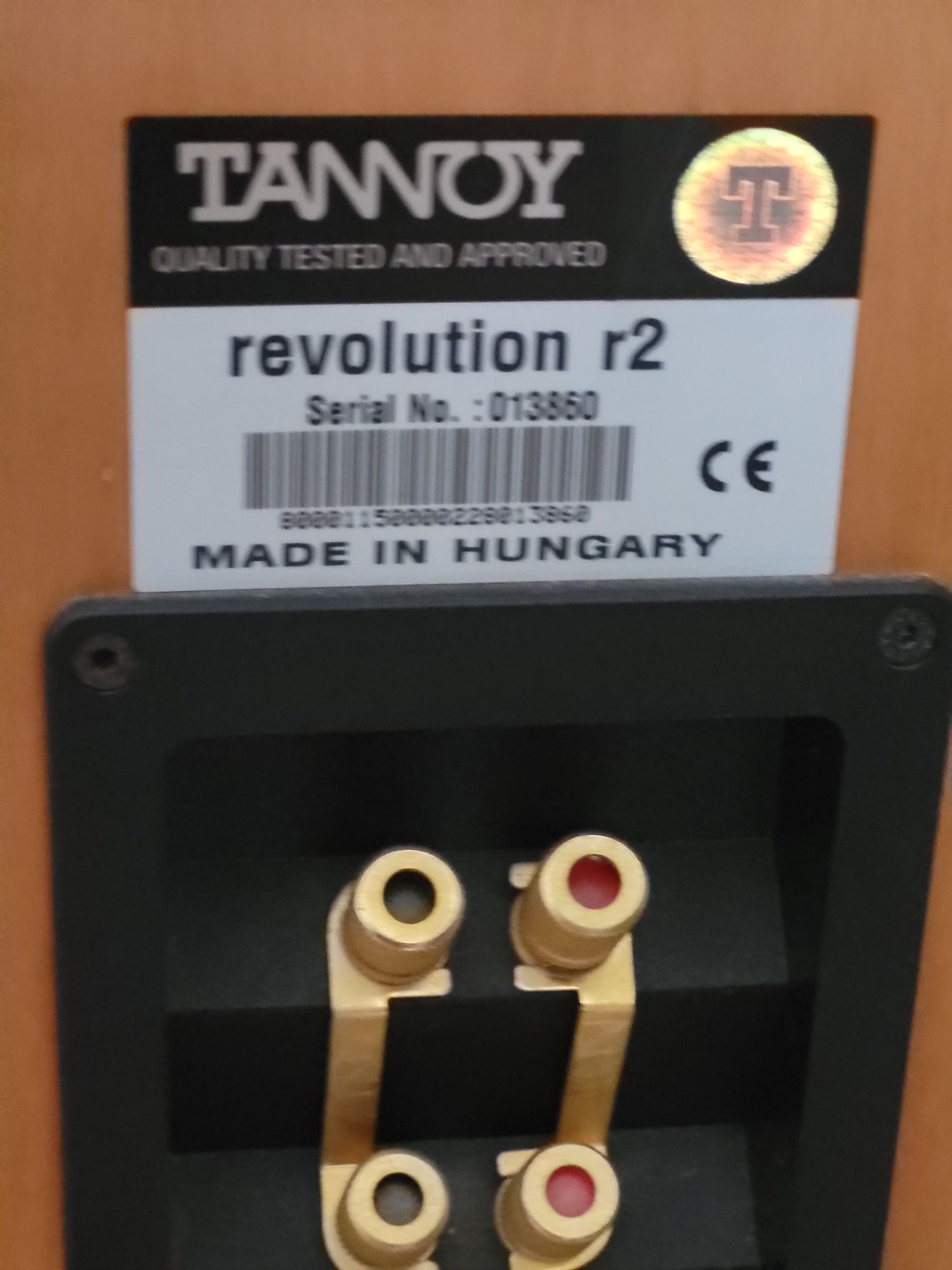Tannoy R2 kolumny podłogowe