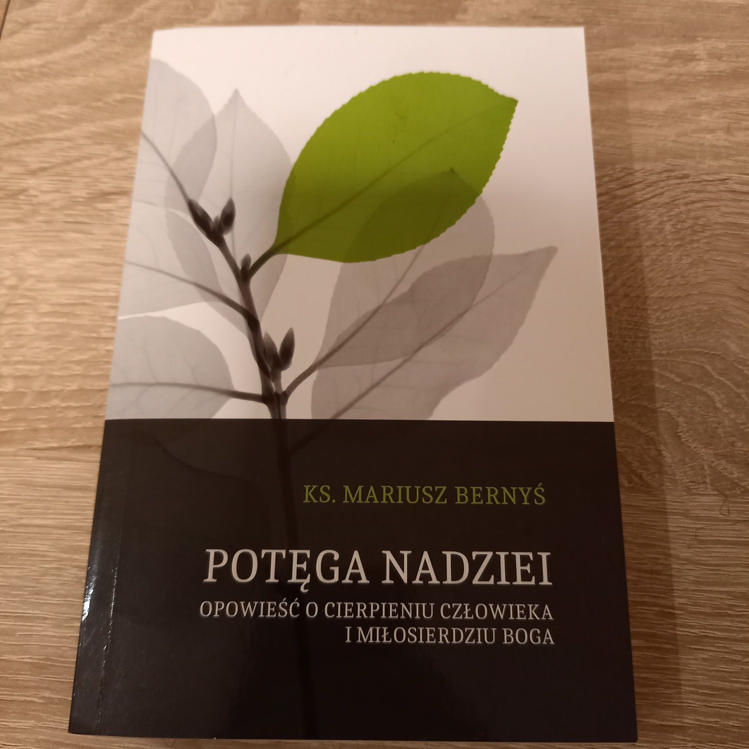 Książka Potęga Nadziei / Bernyś