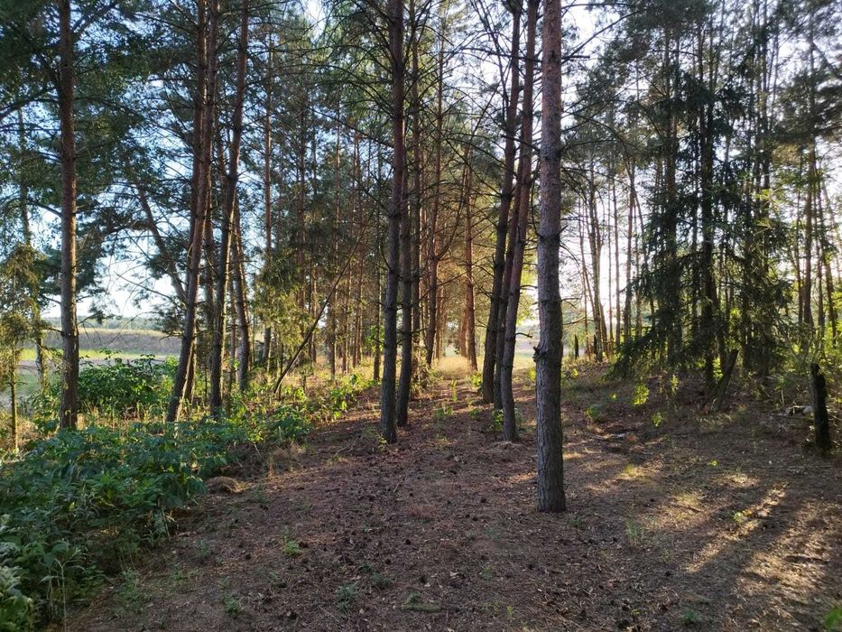 Działka budowlana Wymysłowo - 1412 m2