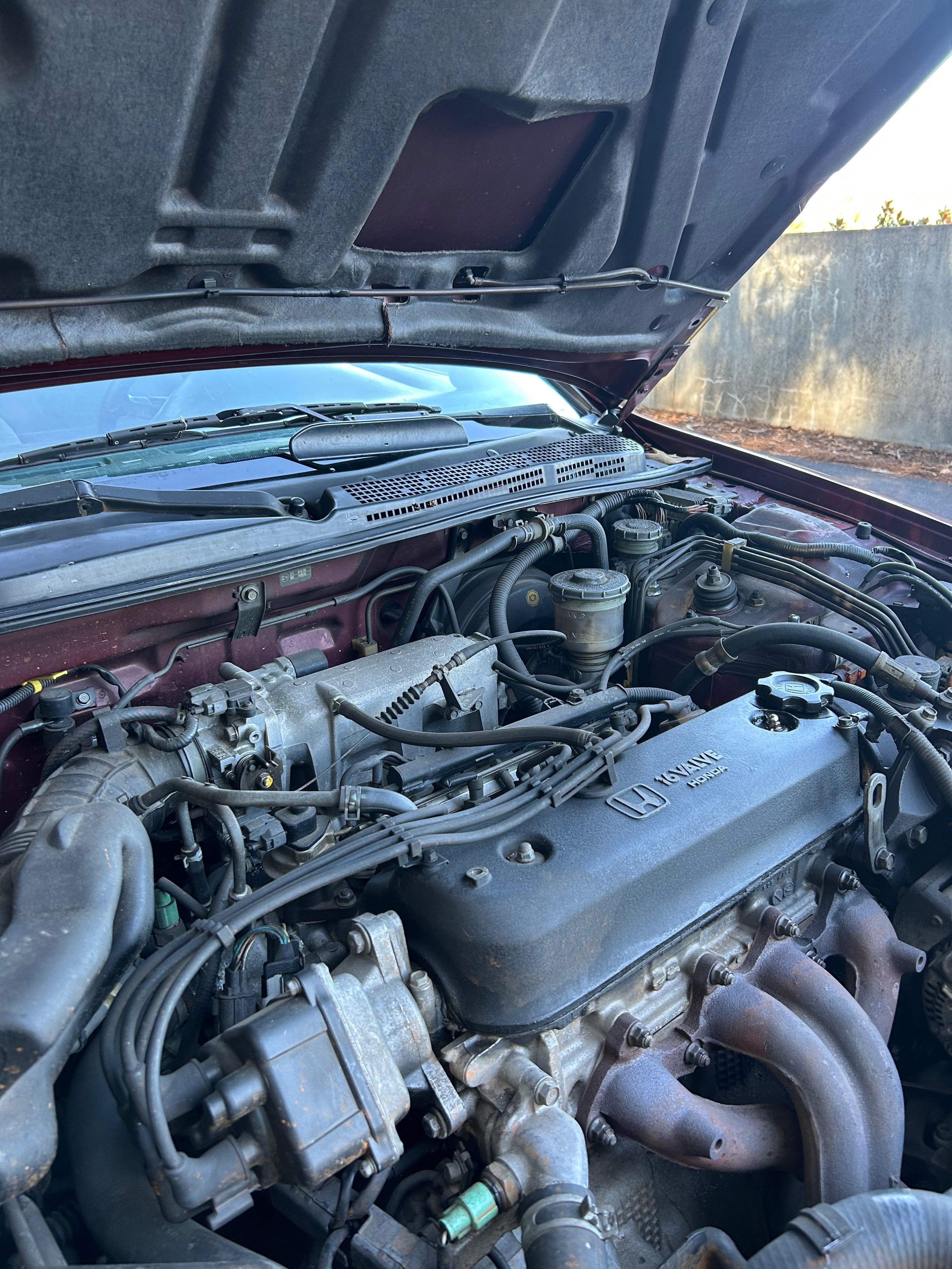 Honda accord coupe