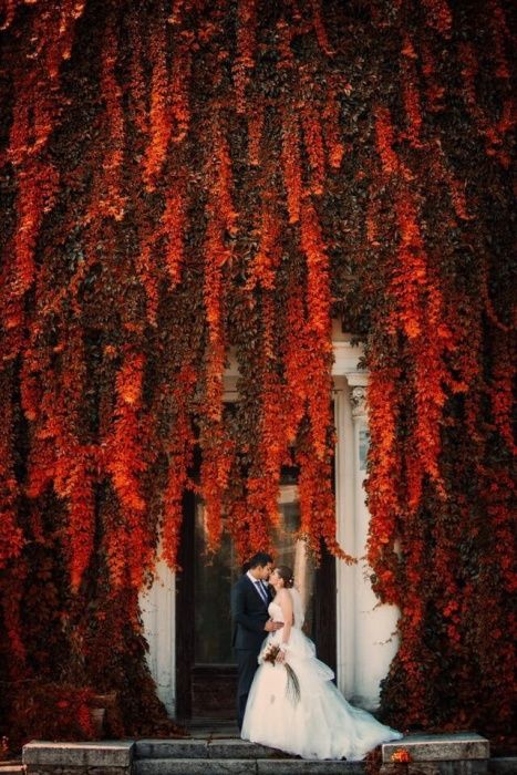 Свадебный и семейный фотограф на свадьбу. Фото. Видео. Корпоратив
