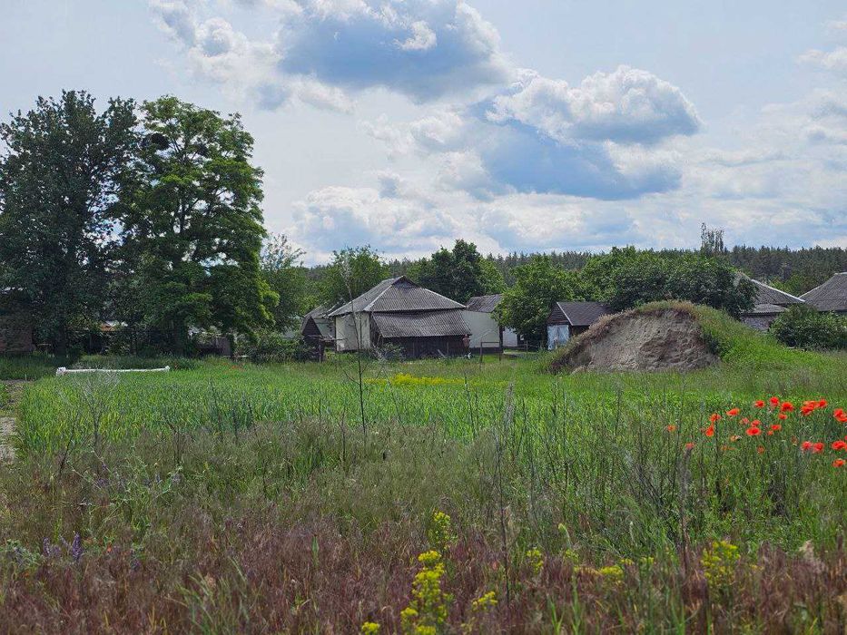 Пухівка. Продам 28сот під забудову, асфальт, житлова вулиця, поряд ліс