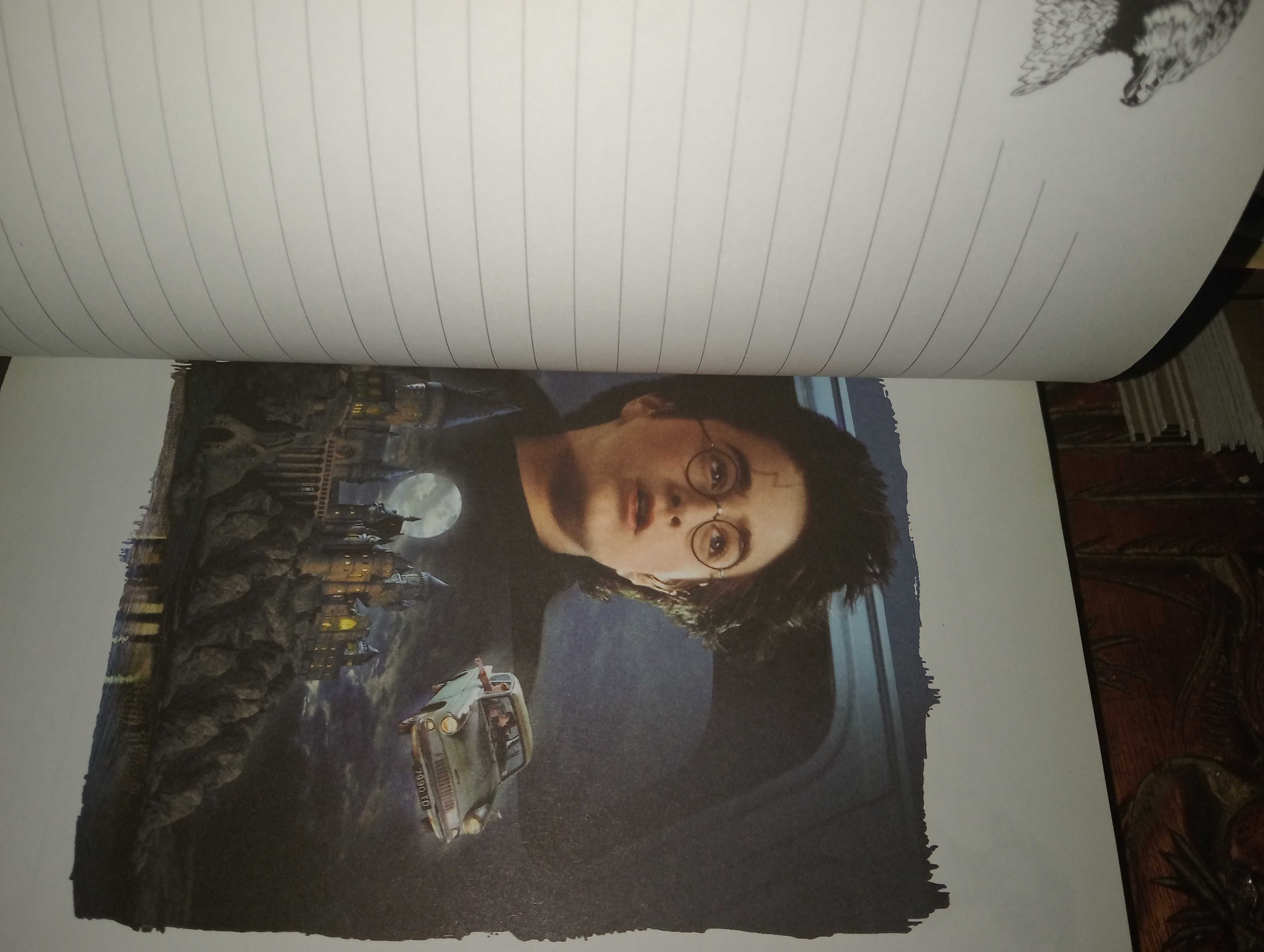 Harry Potter diário misterioso