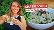 Boldo chá do Brasil planta biológica auxilia digestão elimina gorduras