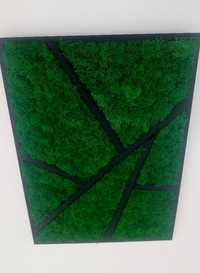 Obraz żywy, mech fiński, 50x70, zielony las, prezent, modern design