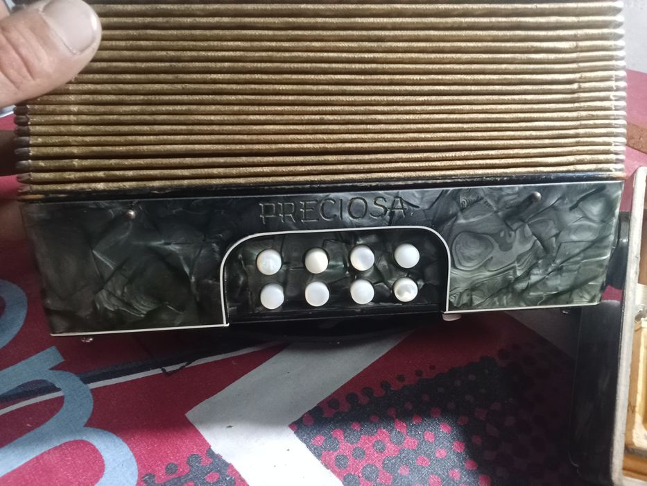 Mini concertina verdadeira