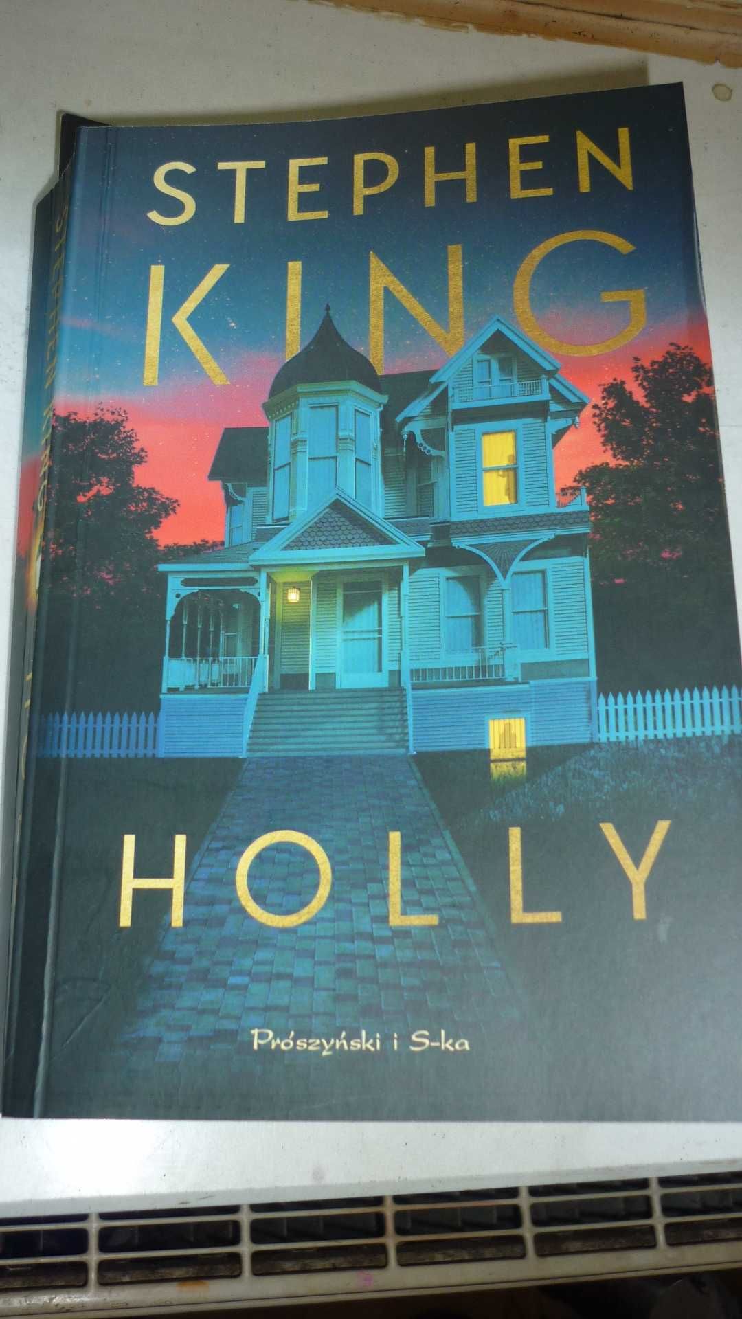 Holly- Stephen King