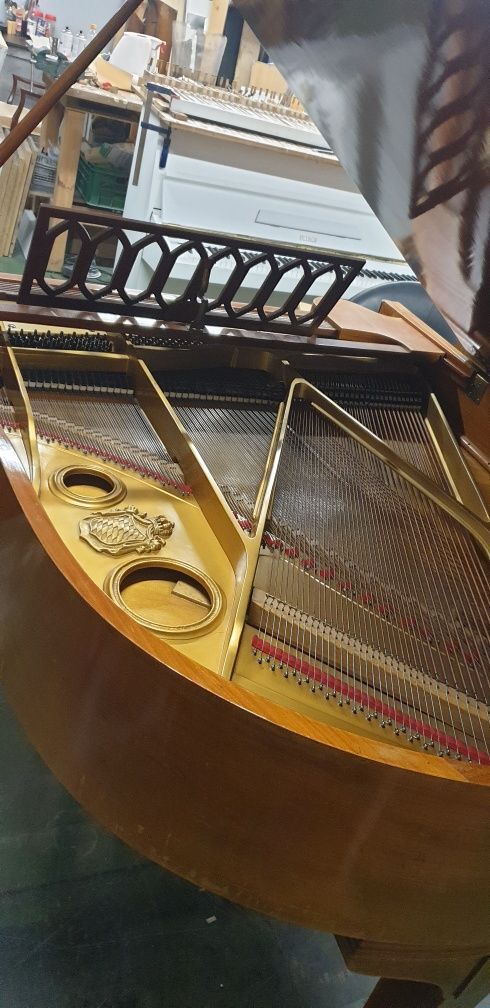Fortepian Steingraber w cenie pianina